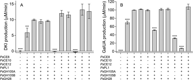 FIG 6