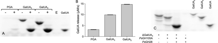 FIG 5