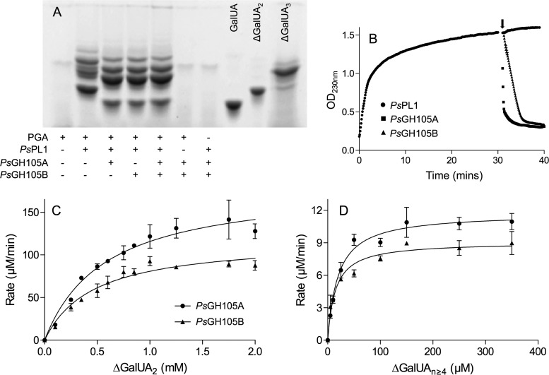 FIG 4