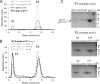 FIGURE 10.