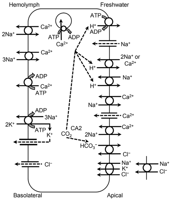 Figure 3.