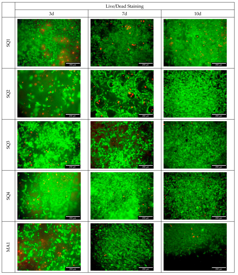 Figure 10