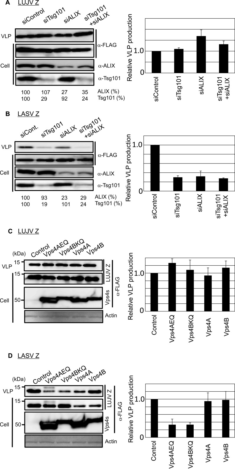 FIG 2