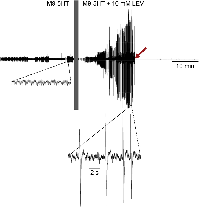 Fig. 8