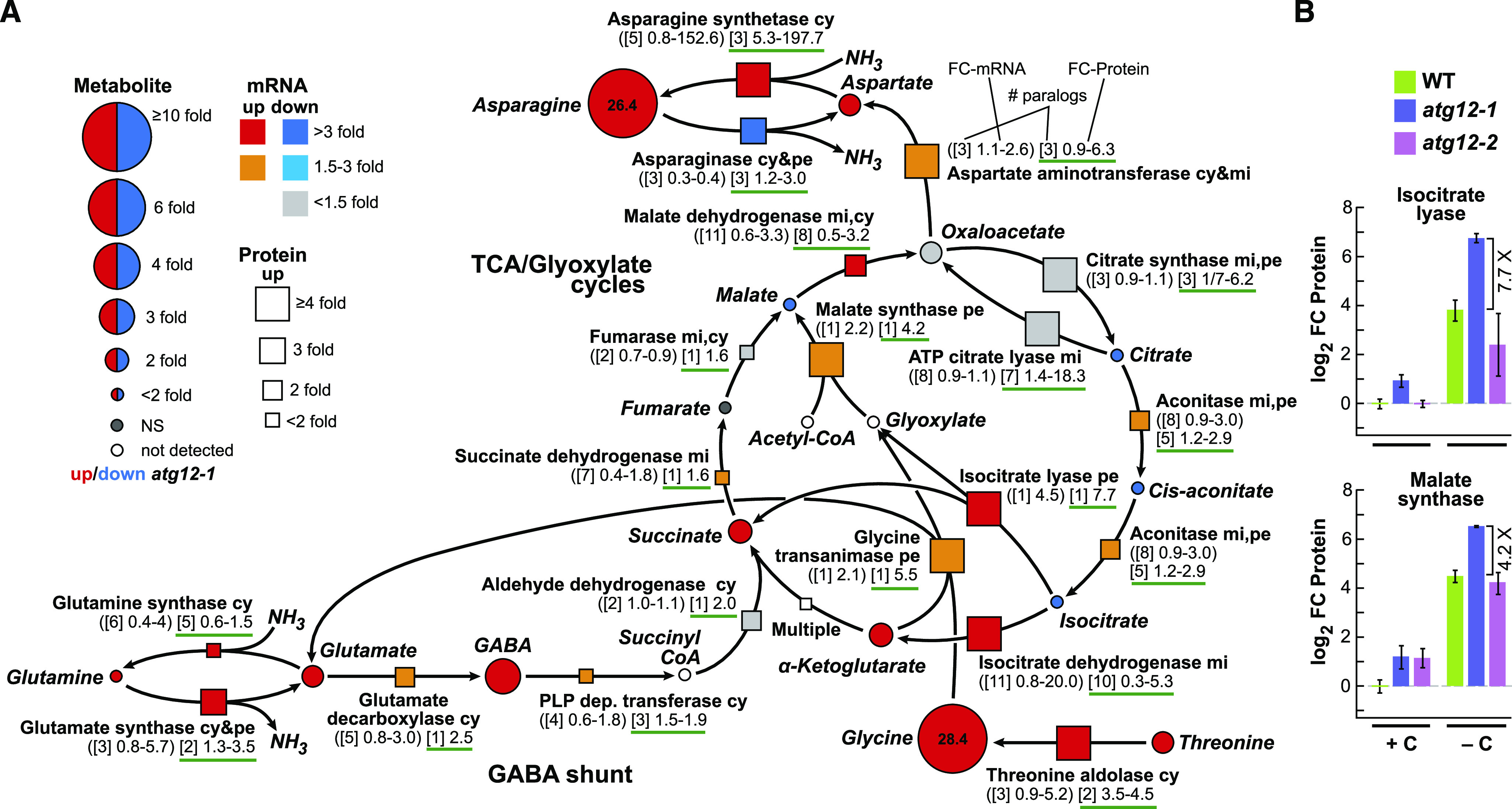 Figure 10.