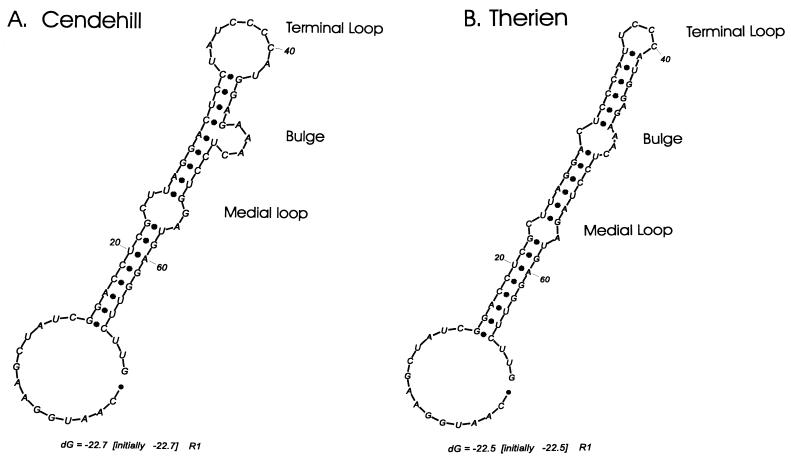 FIG. 6