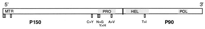 FIG. 5