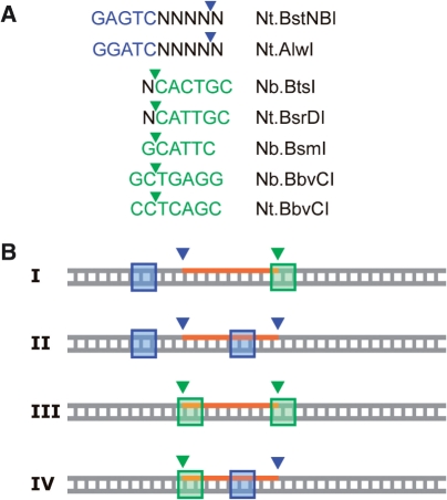 Figure 5.