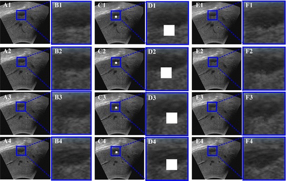 Fig.8