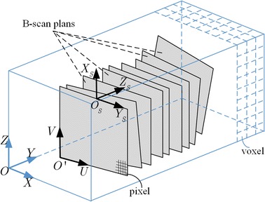 Fig. 2