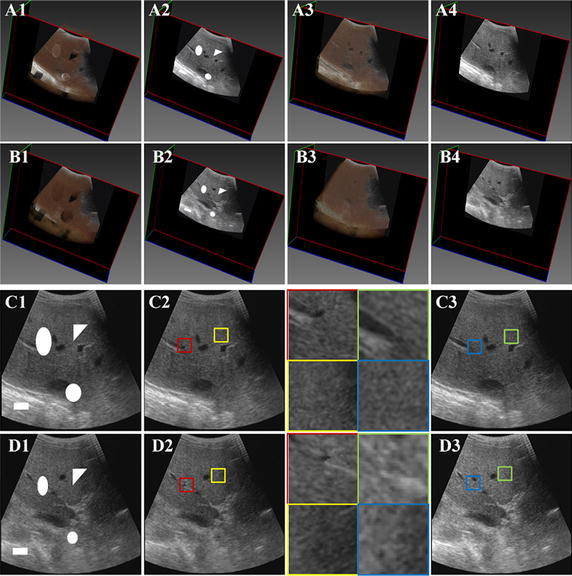 Fig. 7