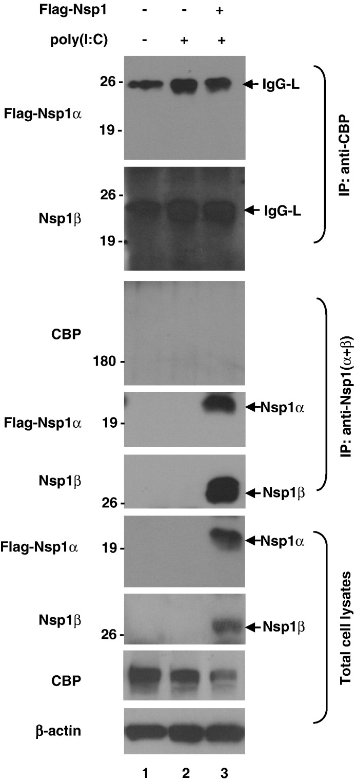 Fig. 7