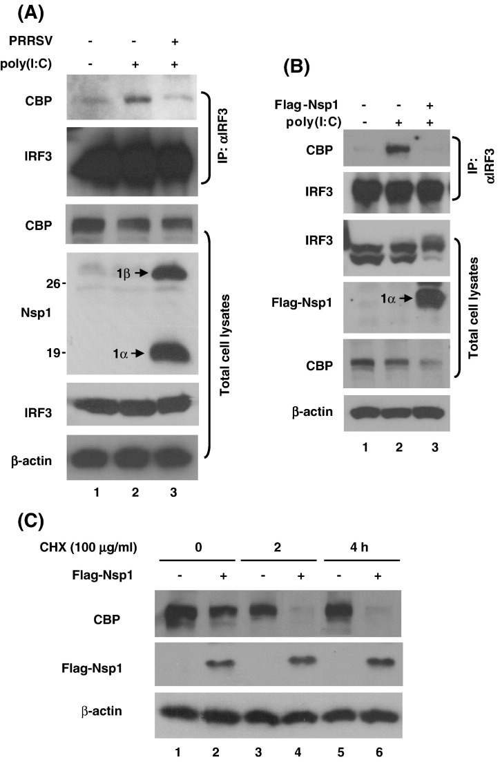 Fig. 6