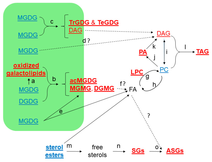 Figure 10