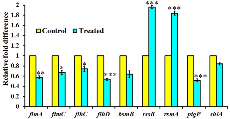 Figure 5