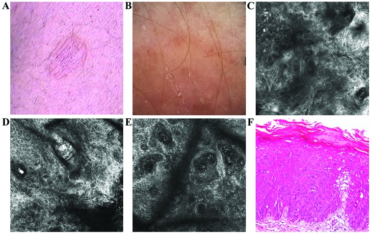 Figure 4.