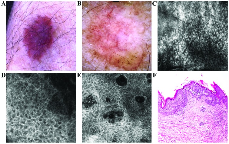 Figure 3.