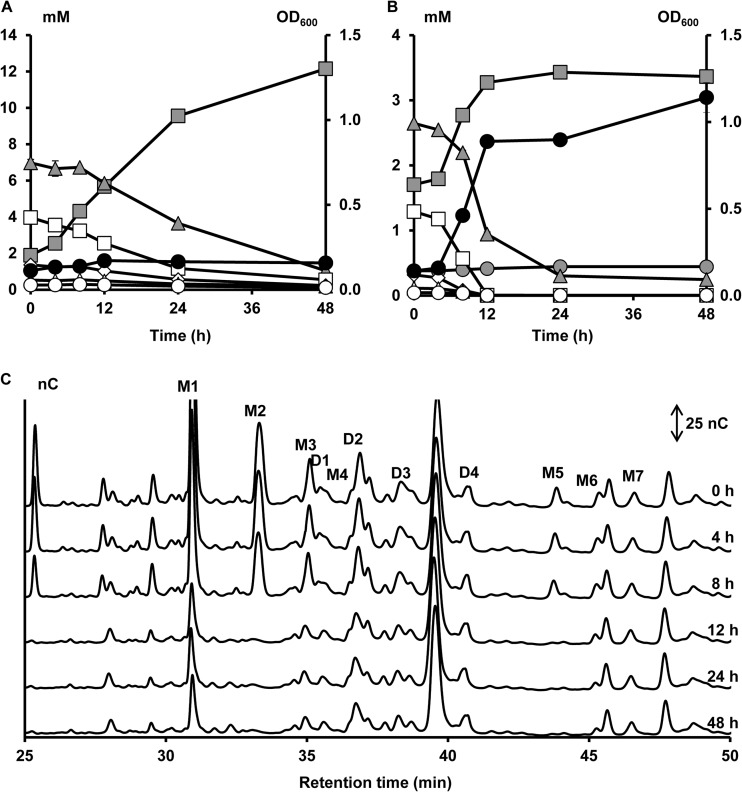 FIG 7