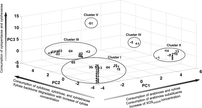 FIG 1