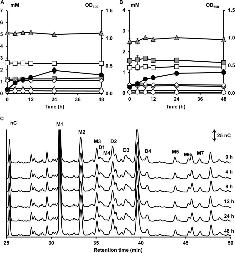 FIG 2