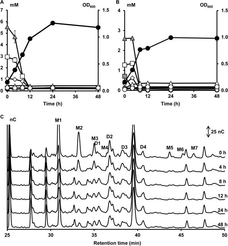 FIG 6