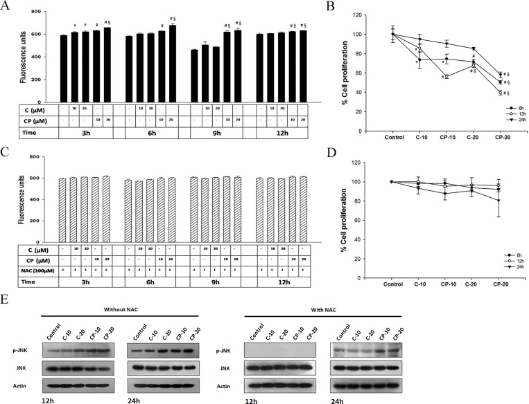 Fig 10