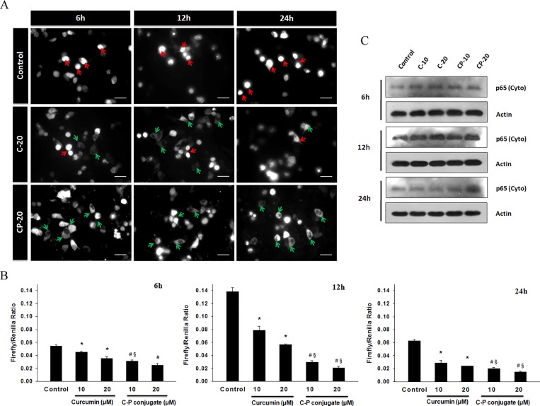 Fig 11