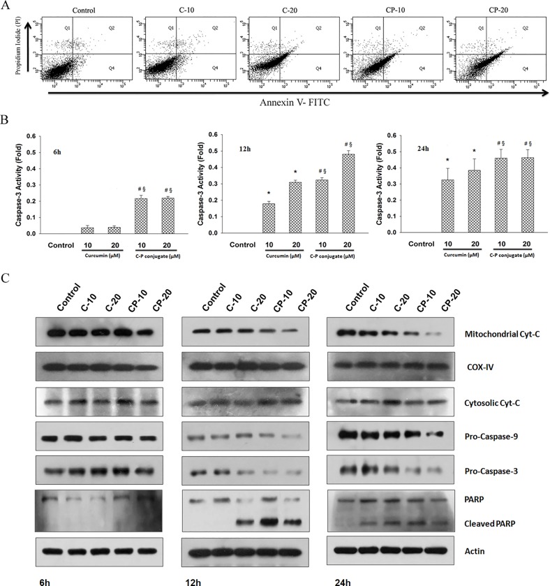 Fig 8