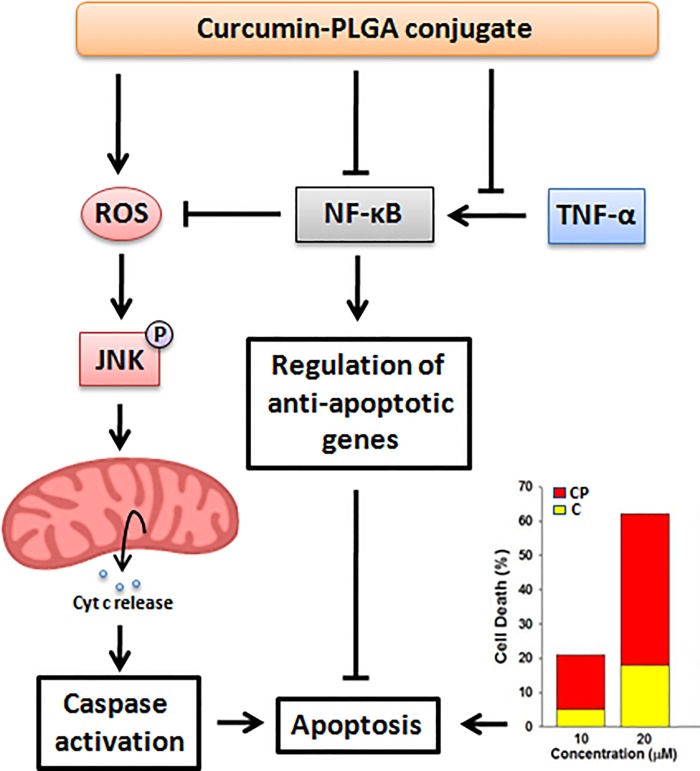 Fig 12