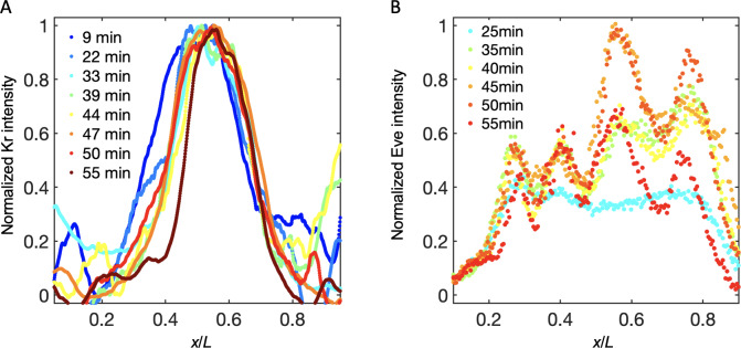 Figure 4—figure supplement 1.