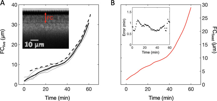 Figure 1—figure supplement 2.