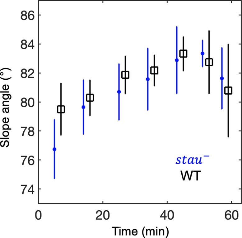 Figure 5—figure supplement 1.