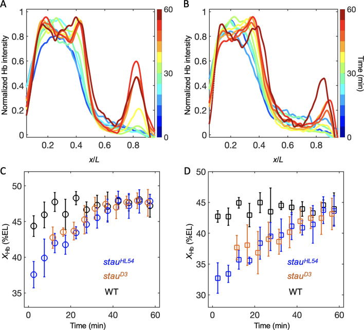 Figure 1—figure supplement 5.