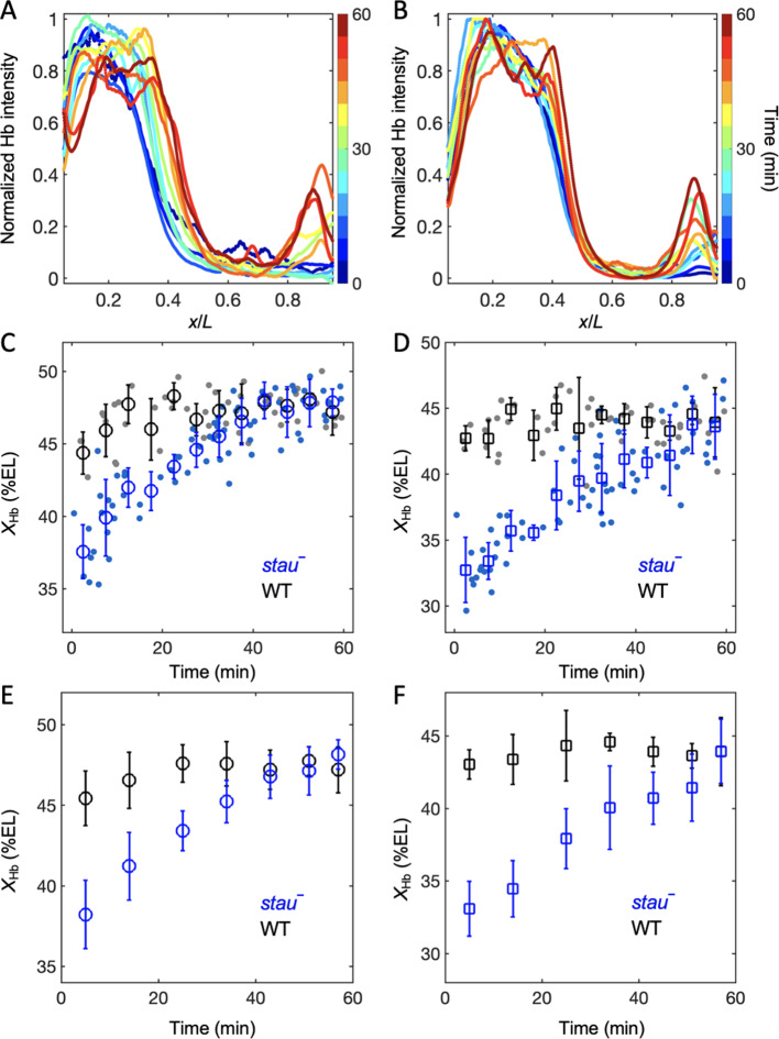 Figure 1—figure supplement 4.