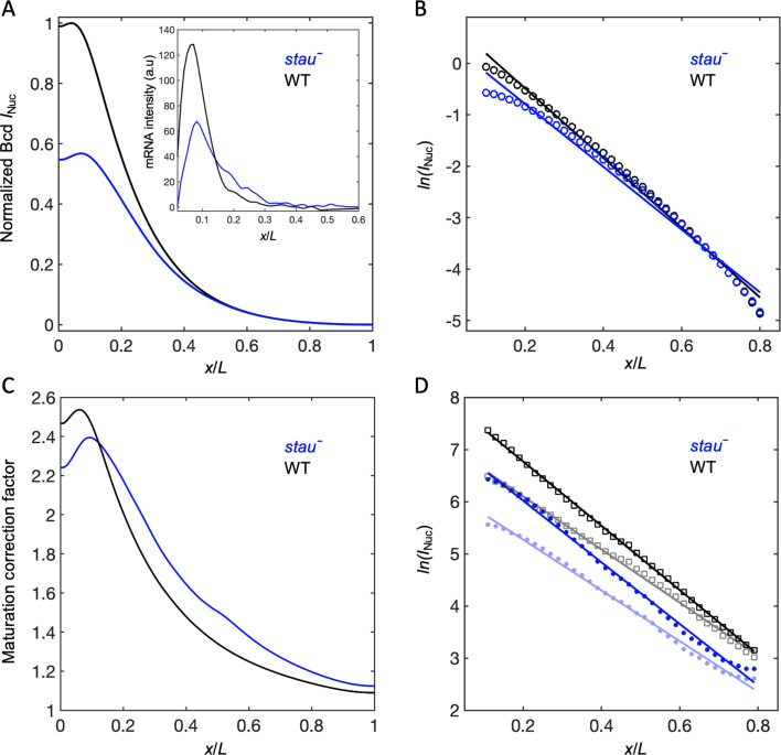 Figure 3—figure supplement 1.