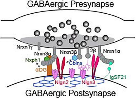 FIGURE 3