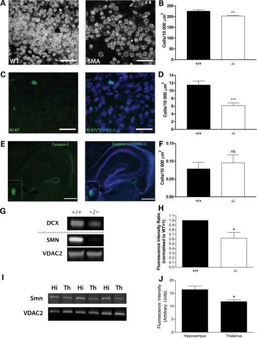 Figure 4.