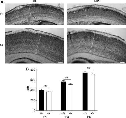 Figure 3.