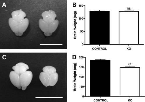 Figure 1.