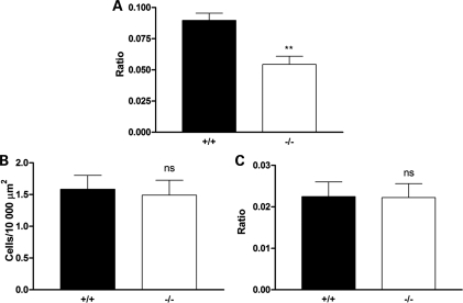 Figure 6.