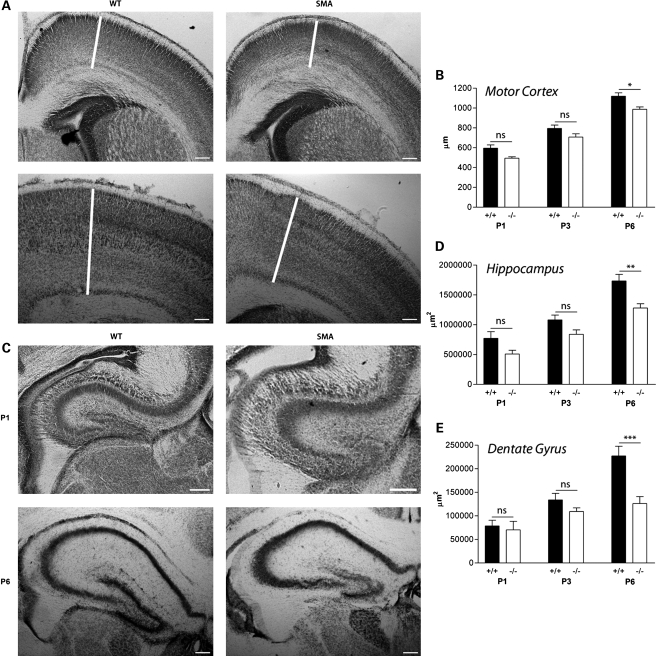 Figure 2.