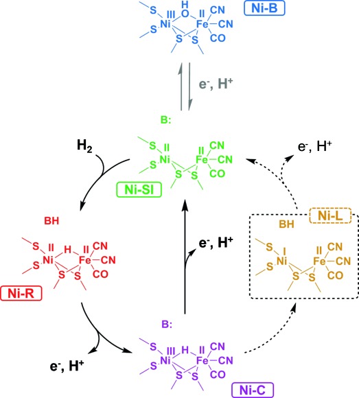 Scheme 1