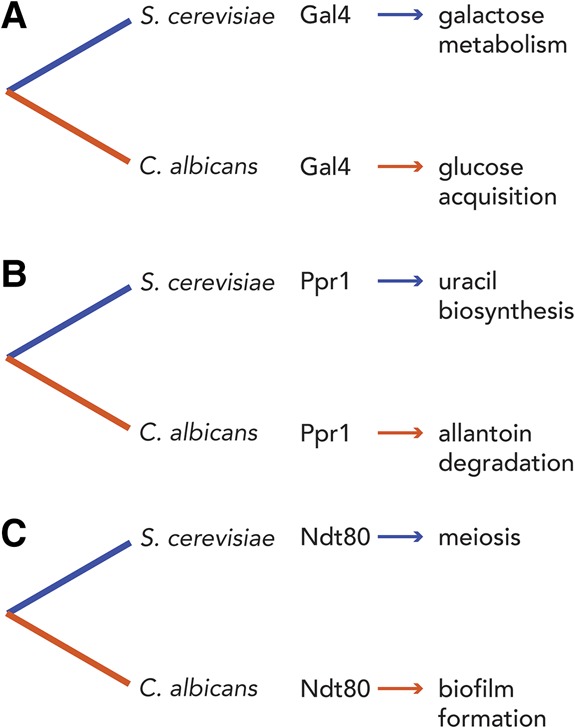 Figure 5.