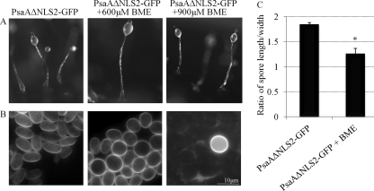 Fig 13