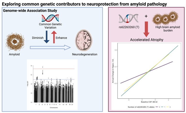 Graphical Abstract