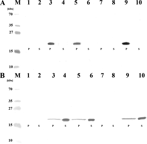 FIG. 8.