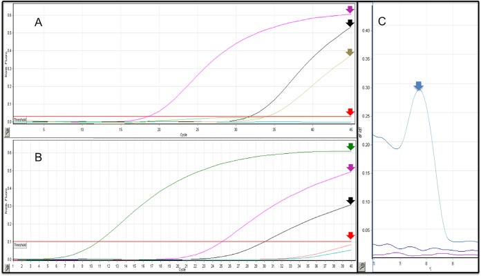 FIG 1