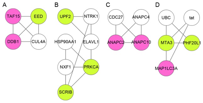 Figure 3.