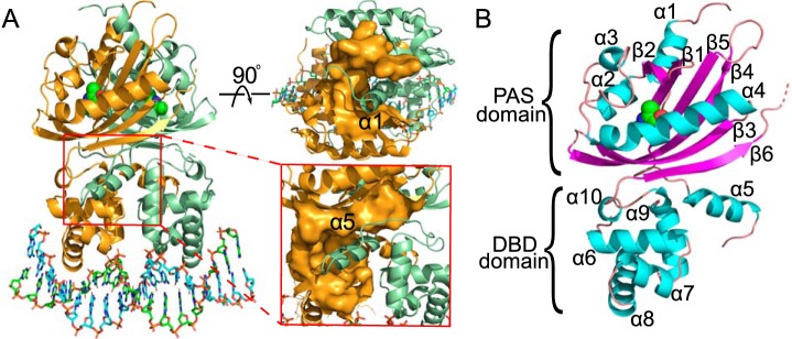 Figure 2.