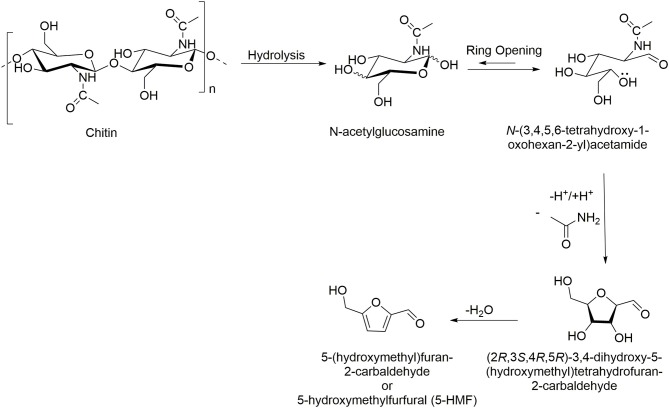 Scheme 5